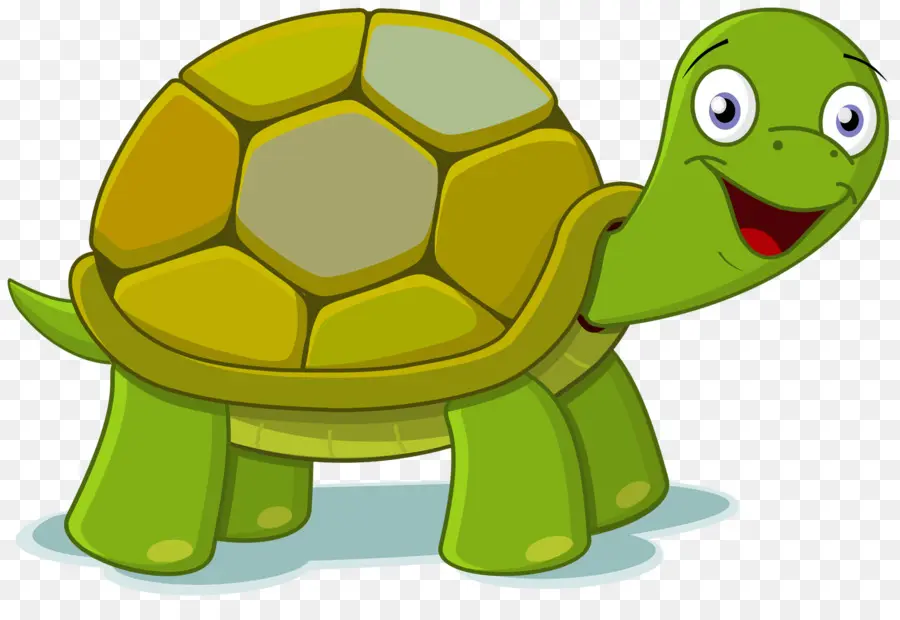 Turtle，Download PNG