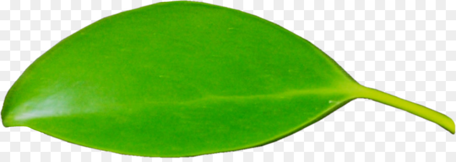 Folha Verde，Natureza PNG