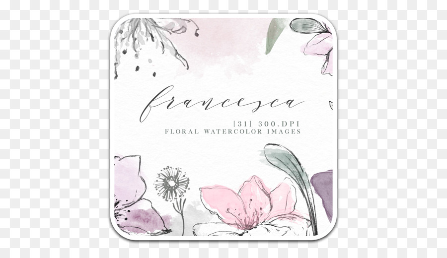 Pintura Em Aquarela，Design Floral PNG