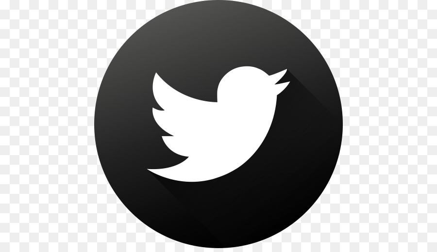 Logotipo Do Twitter，Pássaro PNG