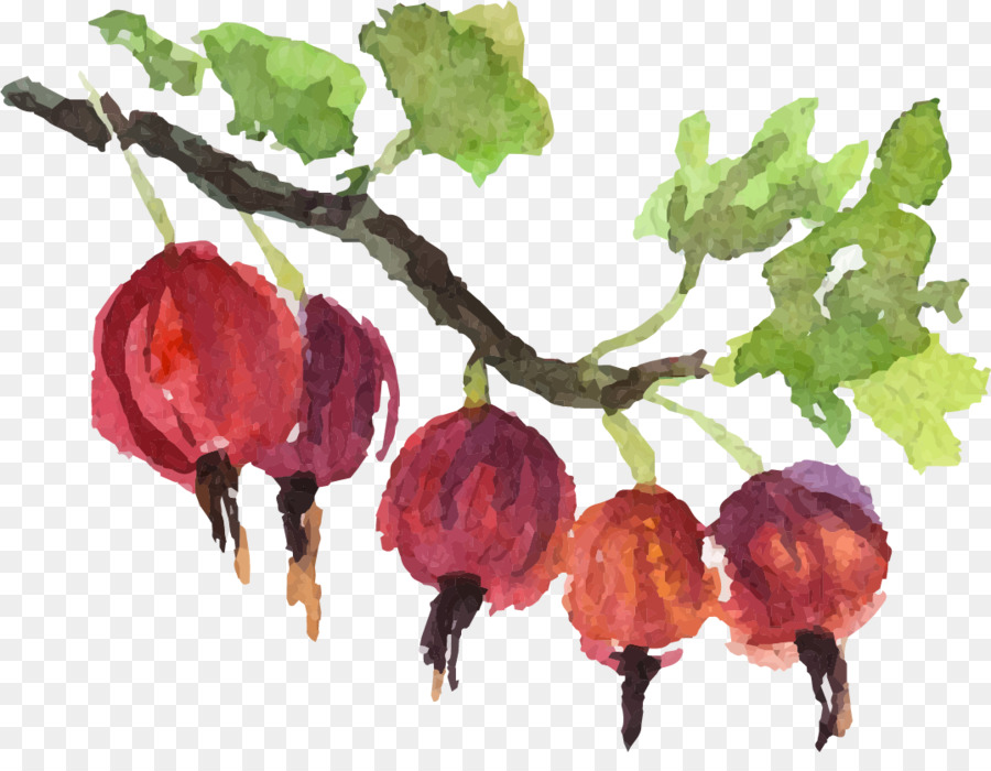 Pintura Em Aquarela，Royaltyfree PNG