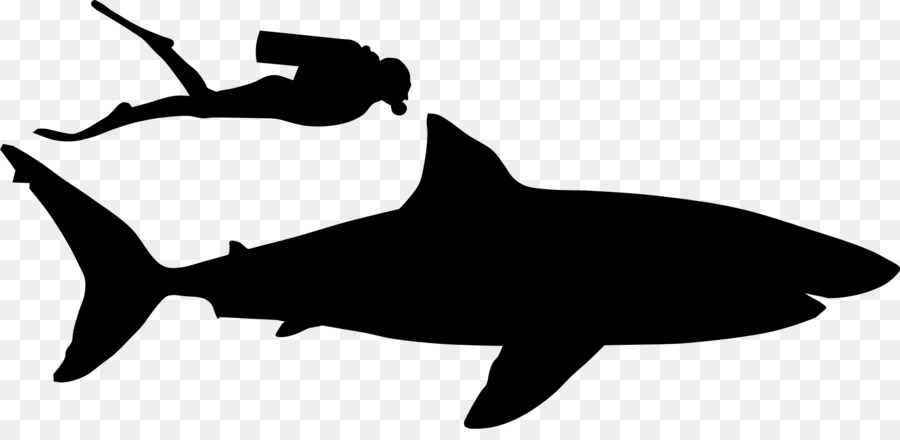 Tubarão，A Fauna PNG