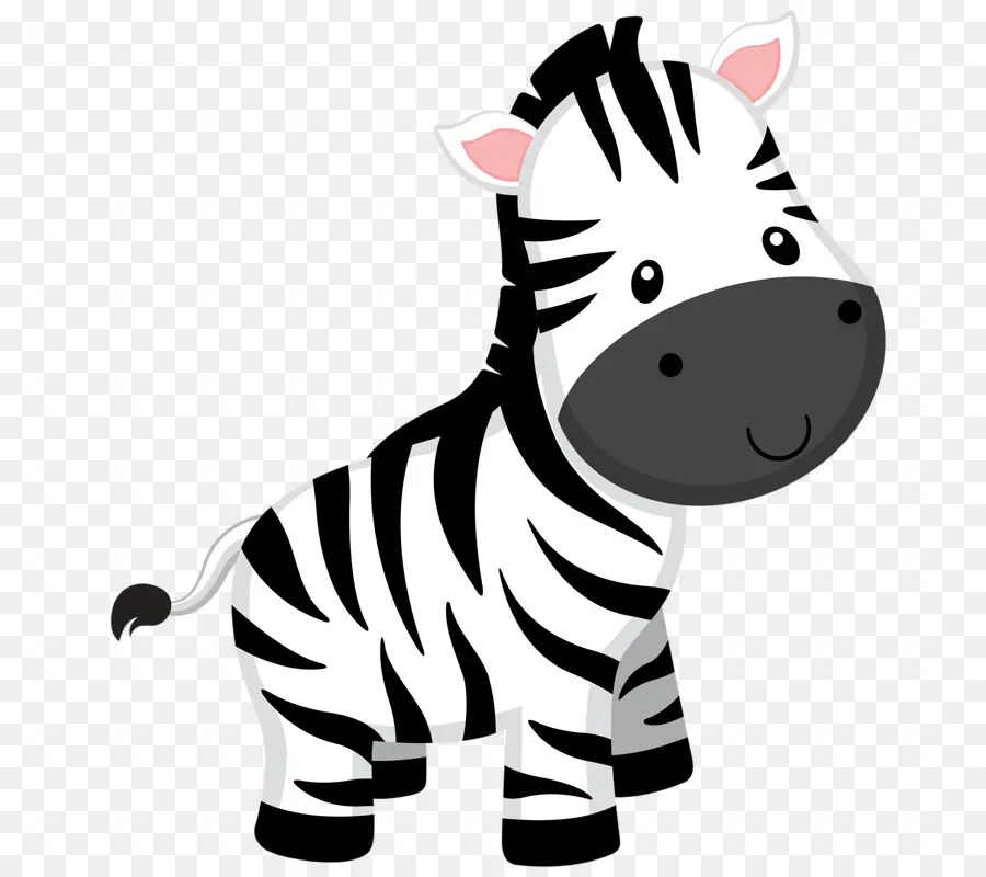 Zebra，Ainda Mais Clip Art Para O Ano Litúrgico PNG