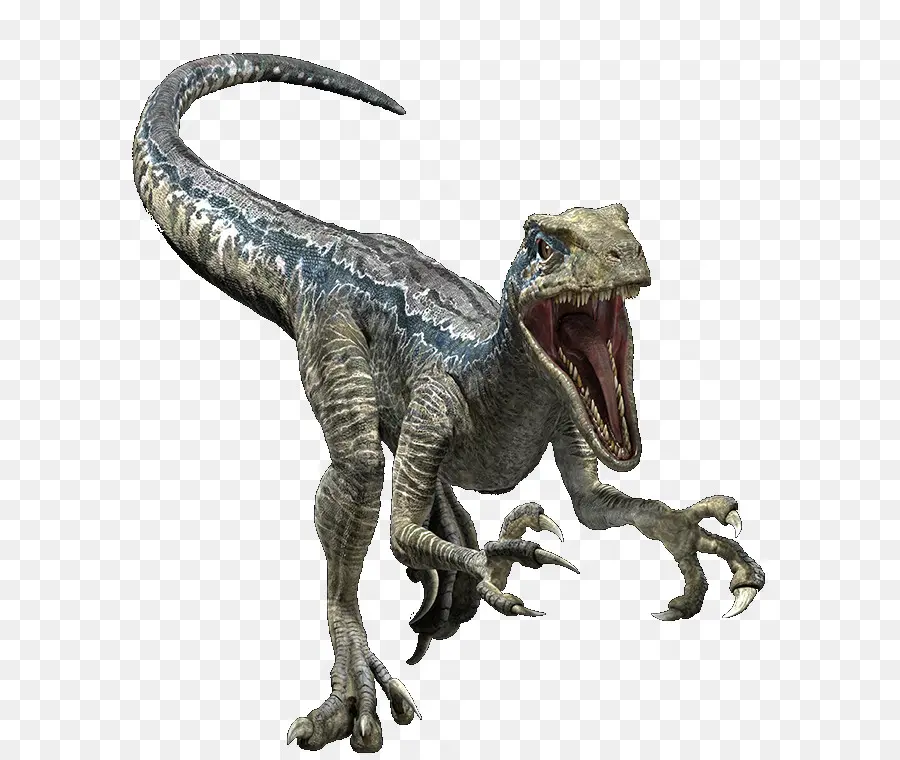 Tiranossauro，Jurassic Evolução Mundial PNG