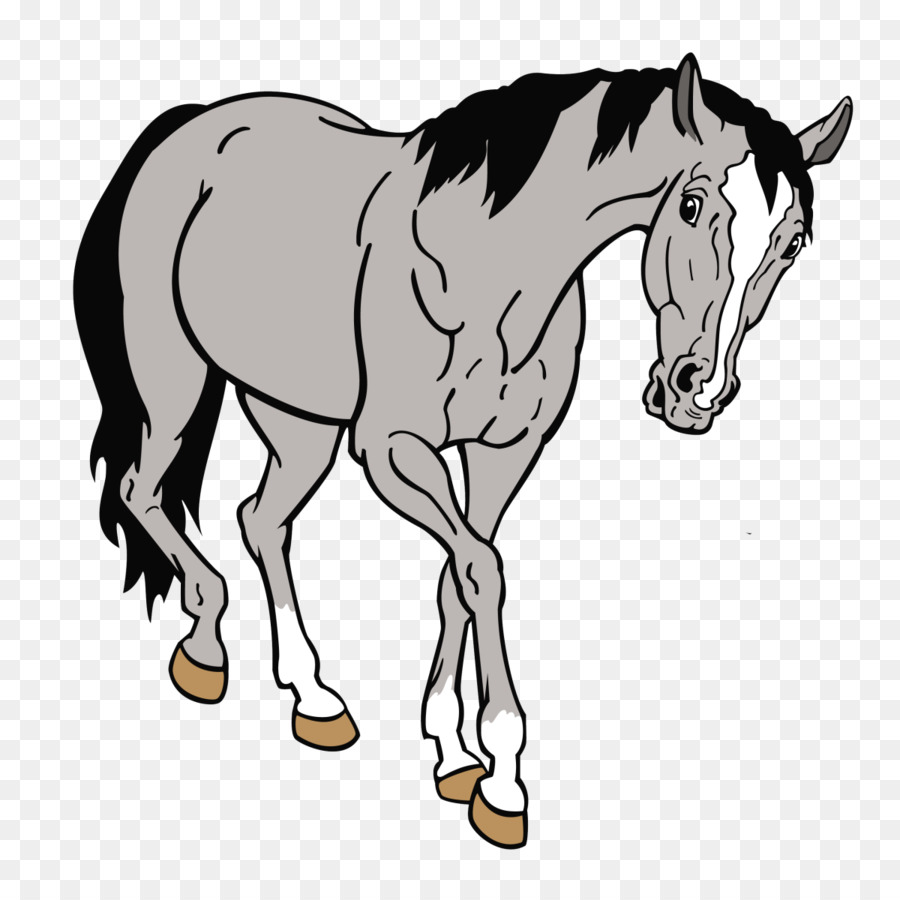 Desenho De Cavalo，Animal PNG