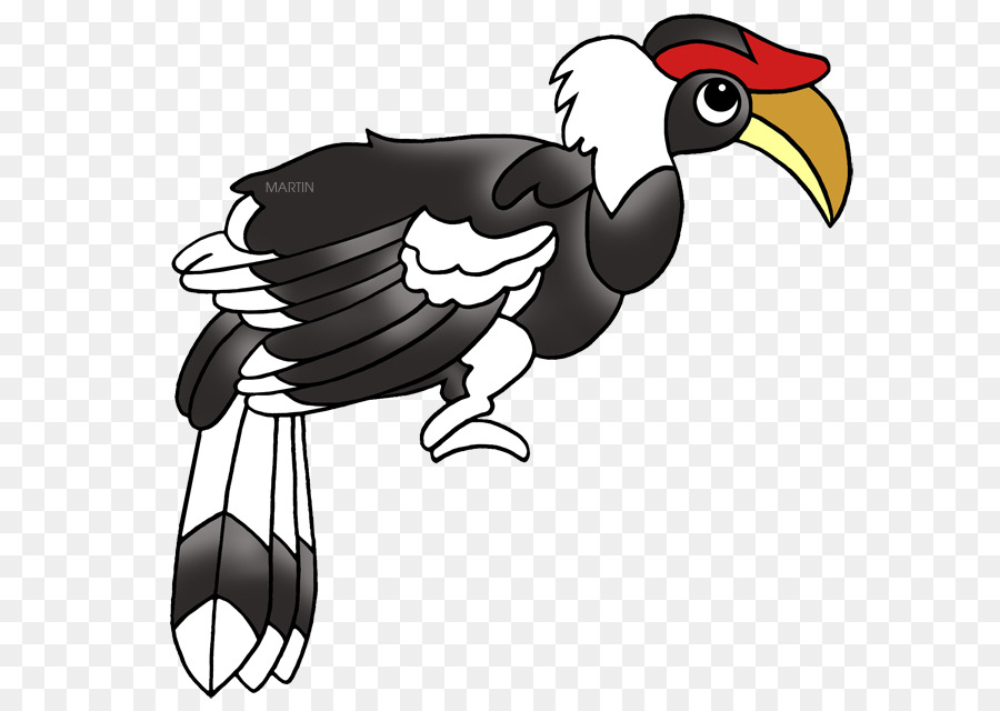 Galo，Frango PNG