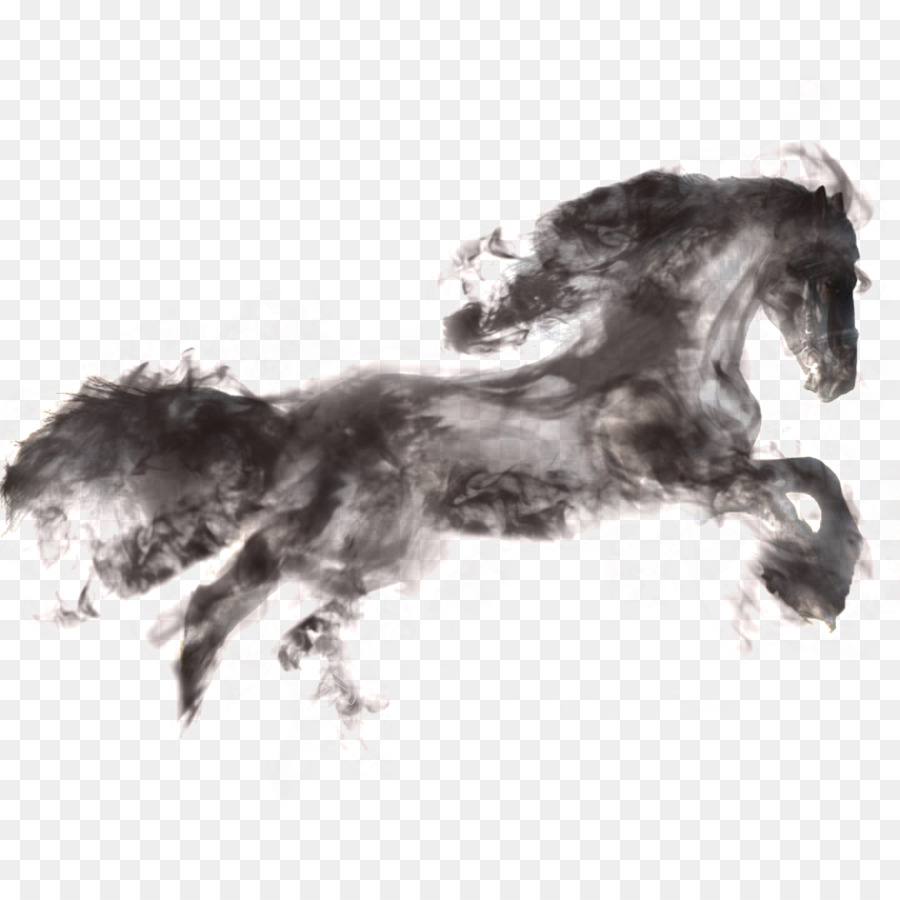 Cavalo，Equino PNG