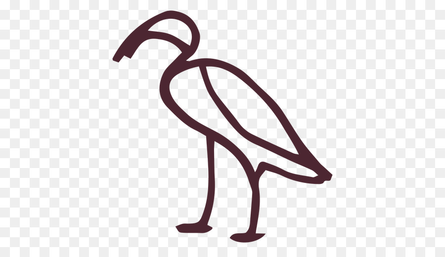 Flamingo，Pássaro PNG