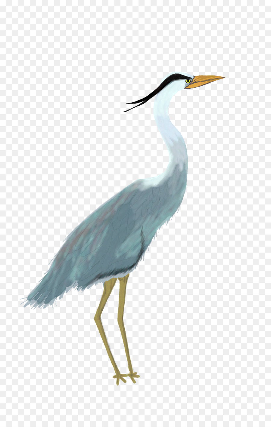 Heron，Grande Garça PNG