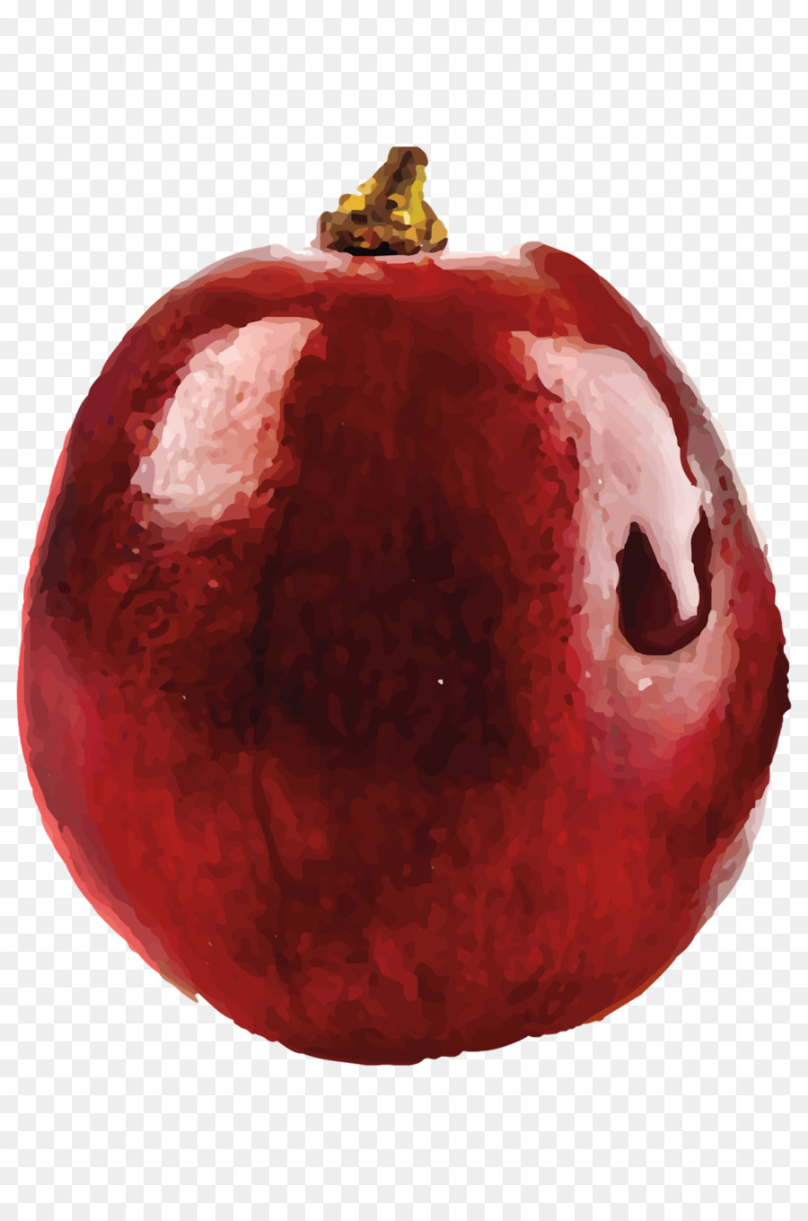 Romã，Vermelho PNG