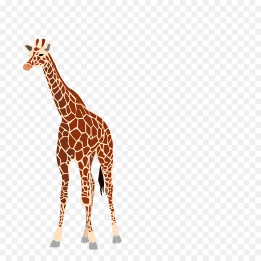 Girafa，Alto PNG