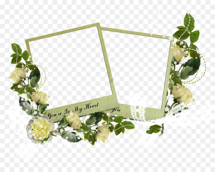 Design Floral，Molduras PNG