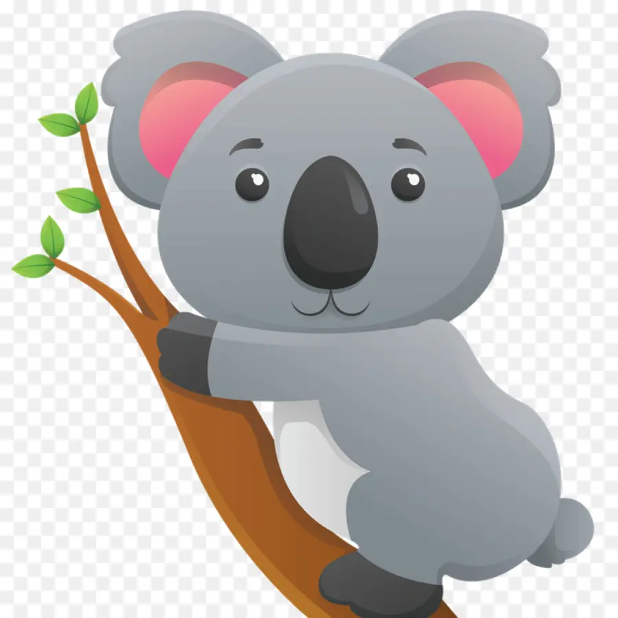 Koala，Bebê Coala PNG