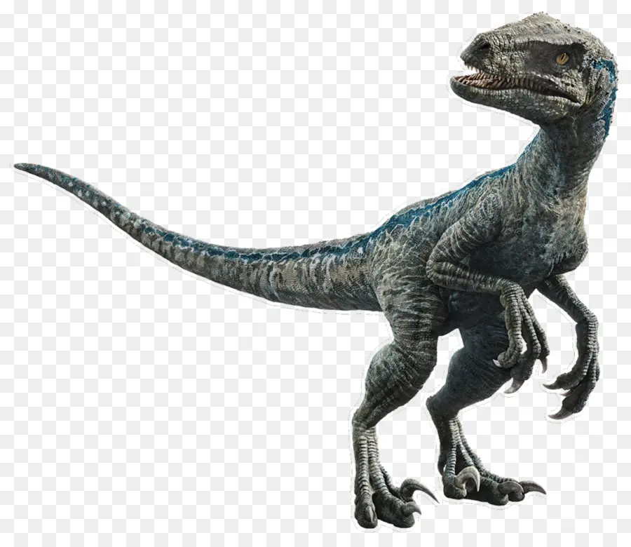 Velociraptor，Lego Jurassic Mundo A Indominus Escapar PNG