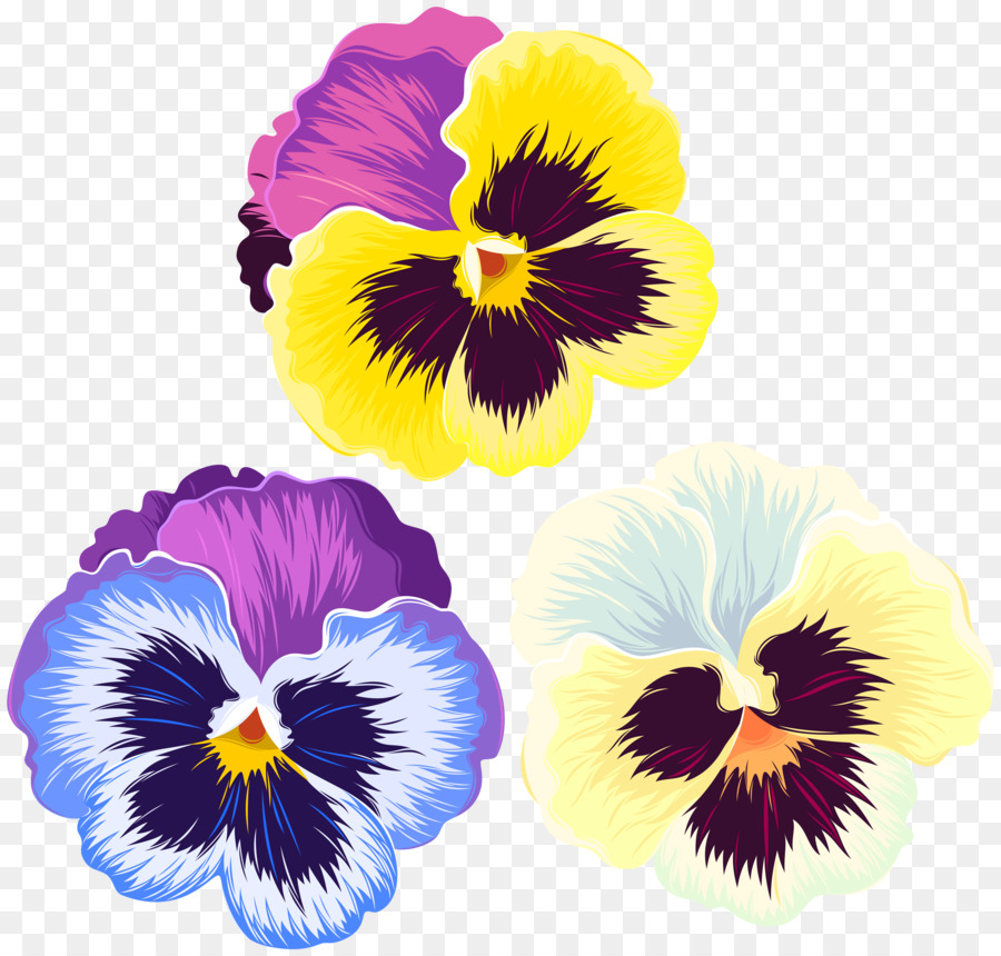 Flores De Amor Perfeito，Amor Perfeito PNG