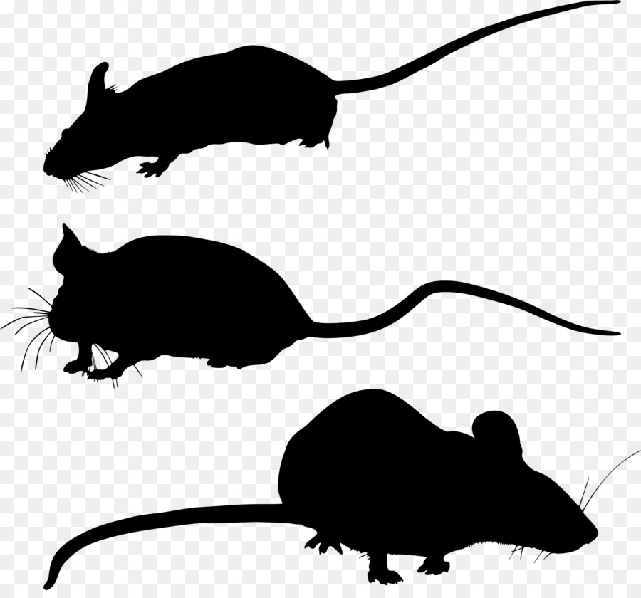 Gerbil，Bigodes PNG