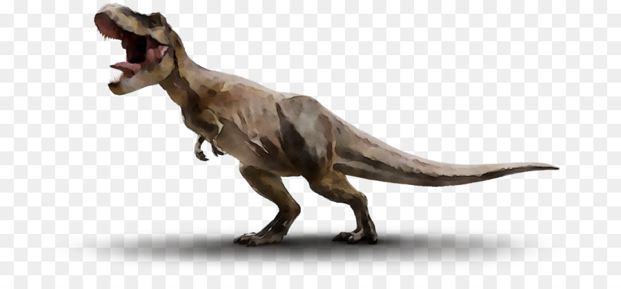 Dinossauro，Pré Histórico PNG