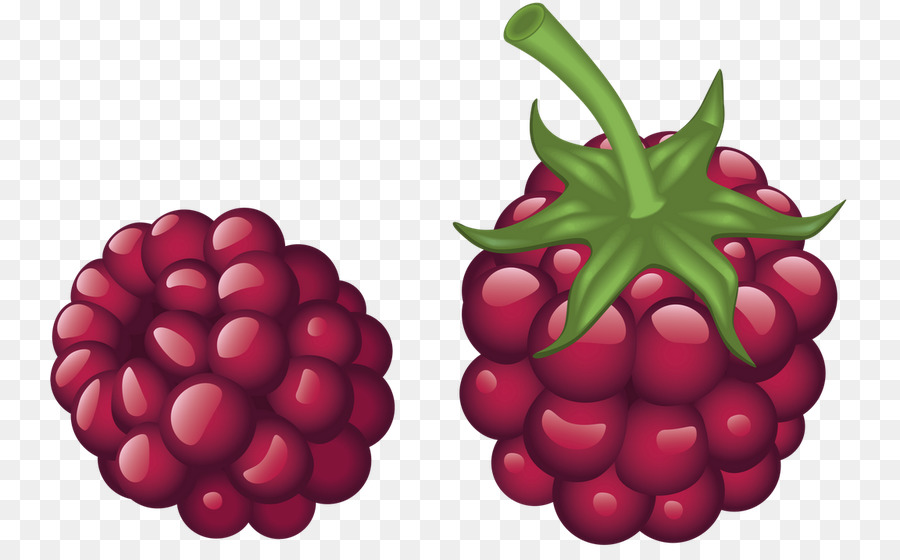 Framboesa，Frutas PNG