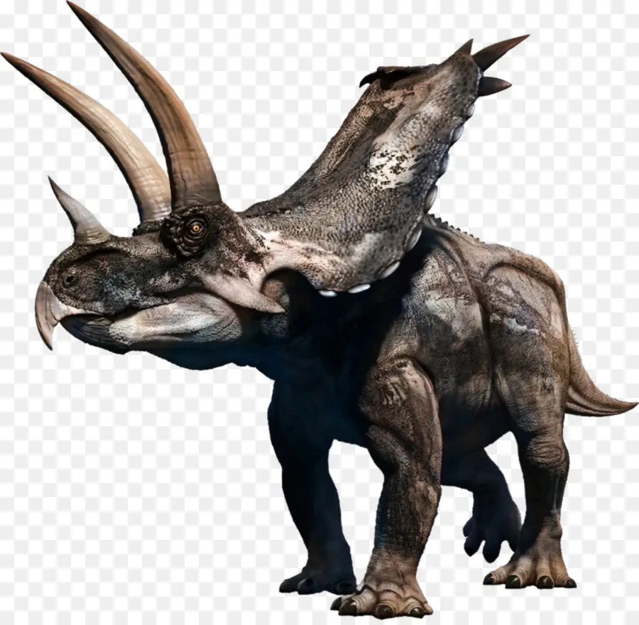 Agujaceratops，Triceratops PNG
