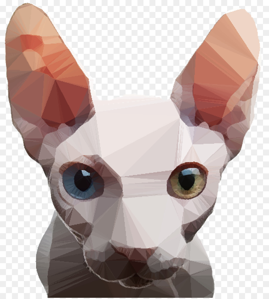 Gato Sphynx，Cornish Rex PNG