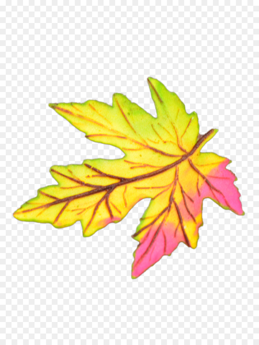 Folha，Maple Leaf PNG