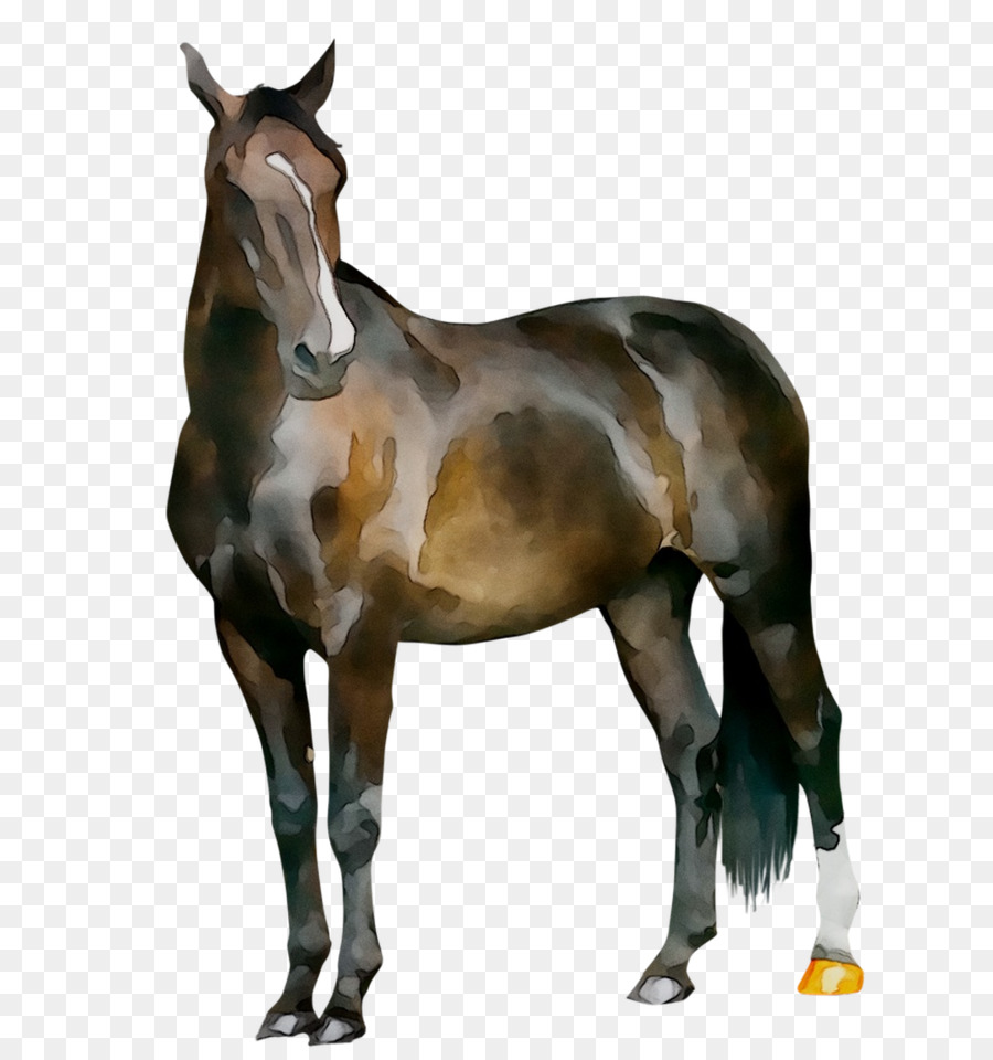 Grande，Cavalo PNG