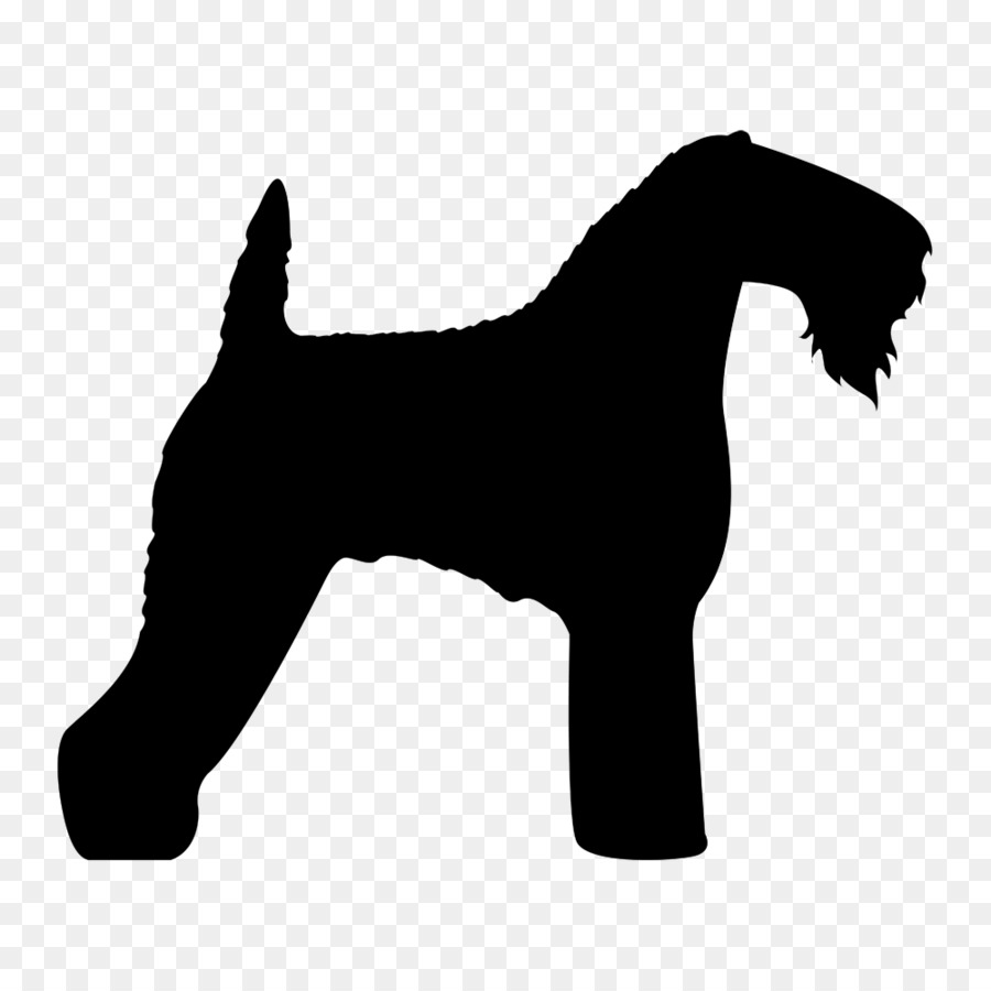 Kerry Blue Terrier，Airedale Terrier PNG