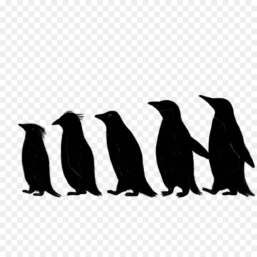 Penguin，A Fauna PNG