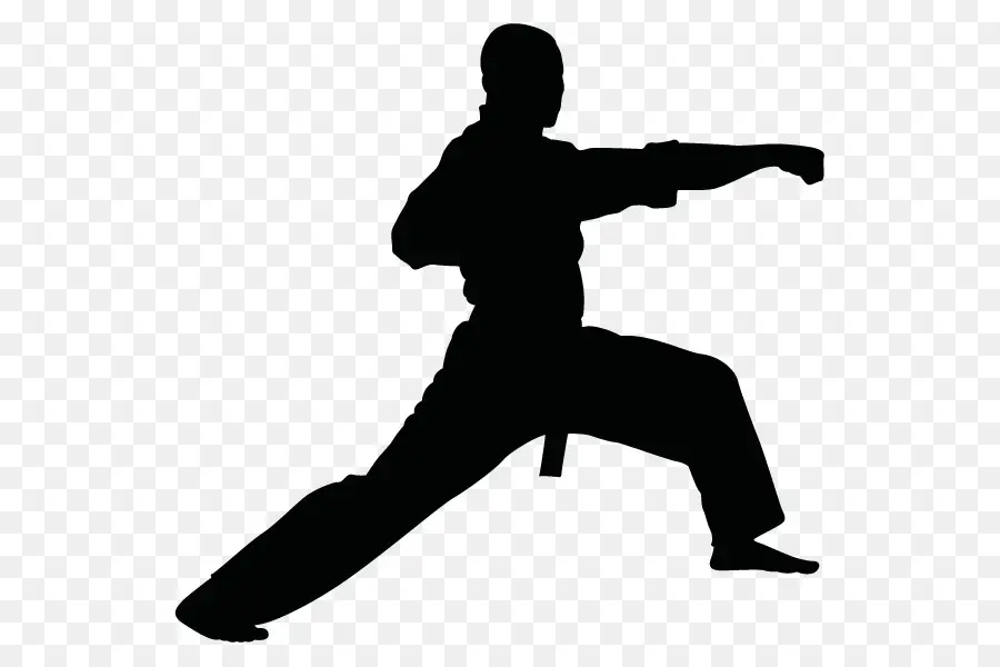 Artes Marciais，Taekwondo PNG