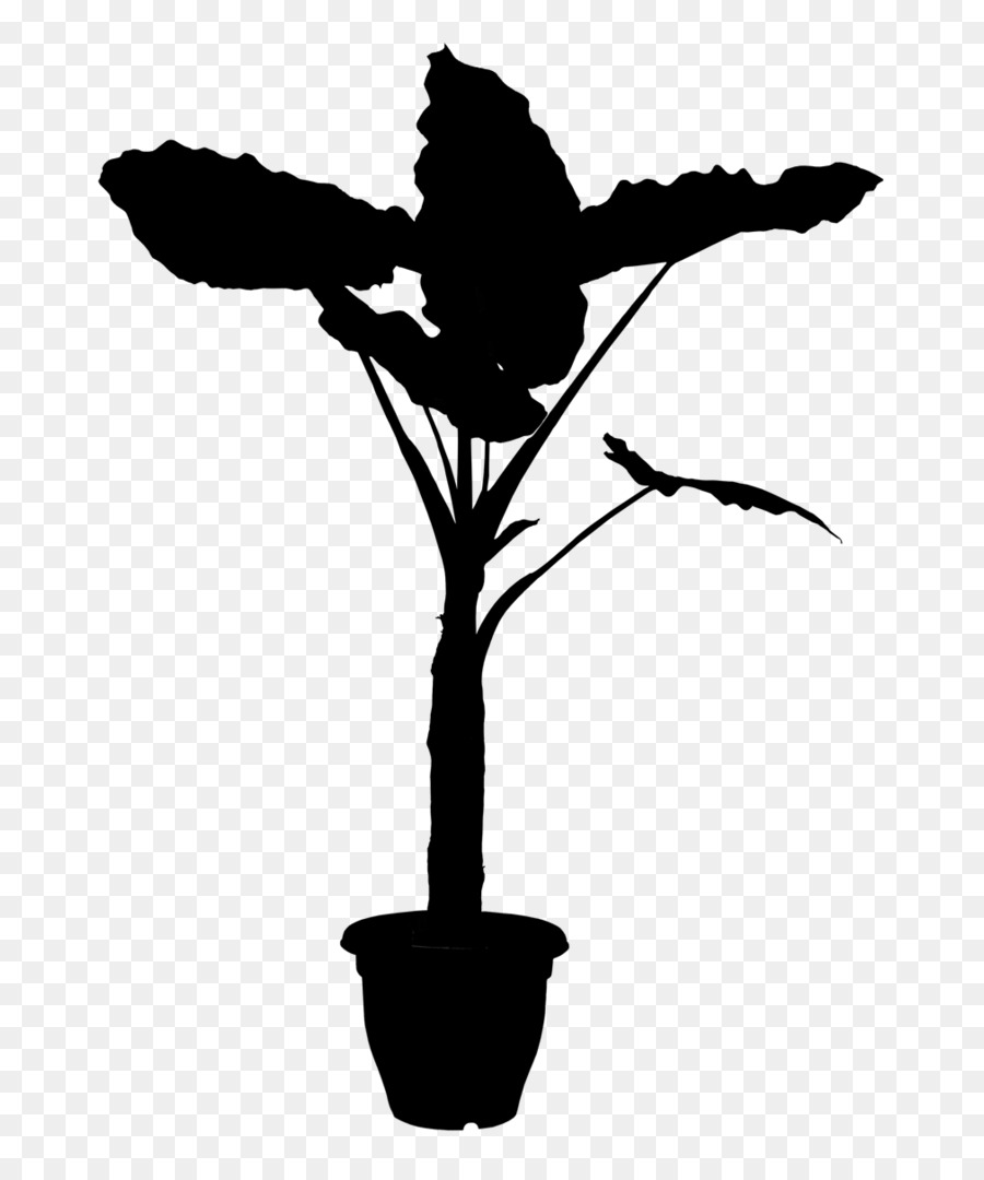 Plantas，Flor PNG