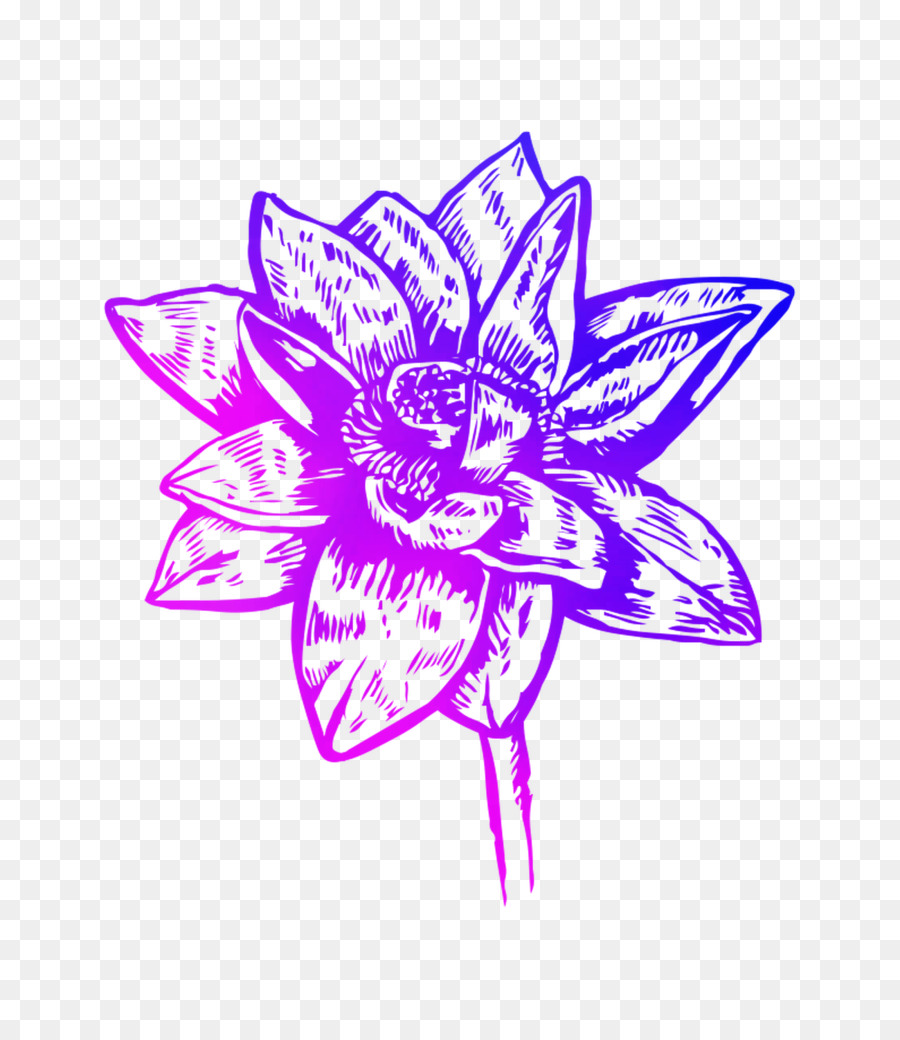 Design Floral，Vídeo PNG