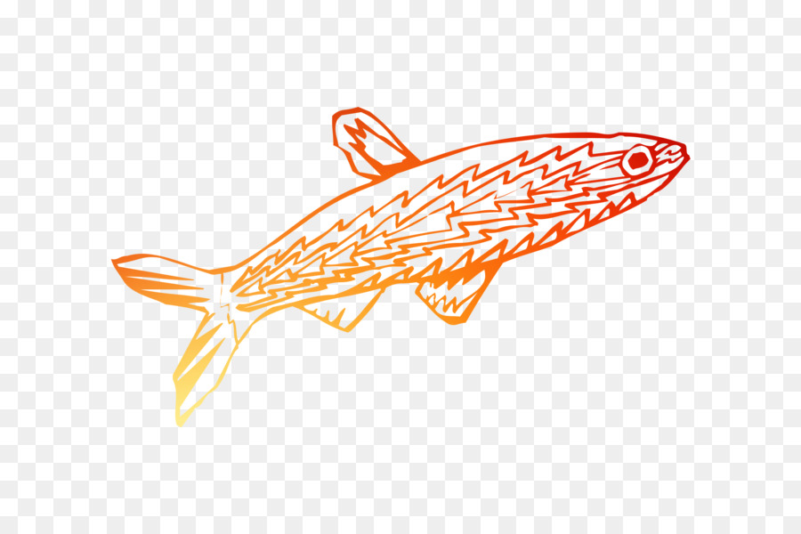 Peixe，Azul PNG