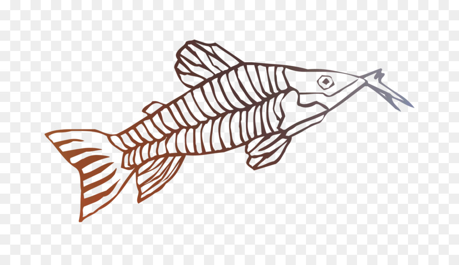 Peixe，Azul PNG