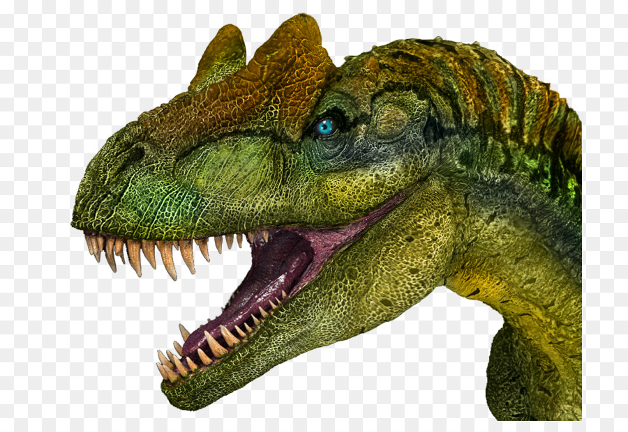 Dinossauro，Dentes PNG