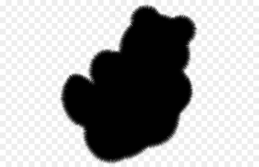 Cachorro，Urso PNG