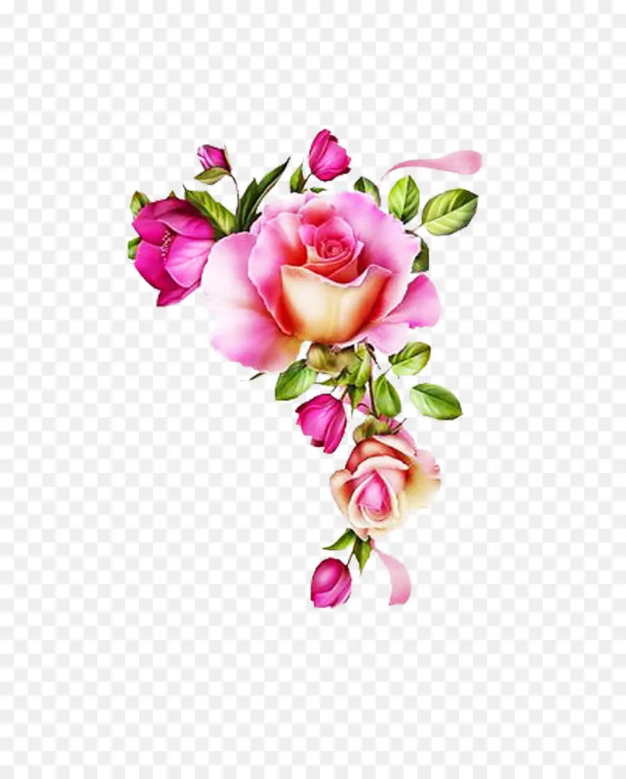 Rosa，Design Floral PNG