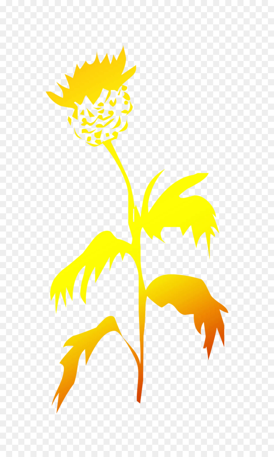 Desenho，Flor PNG