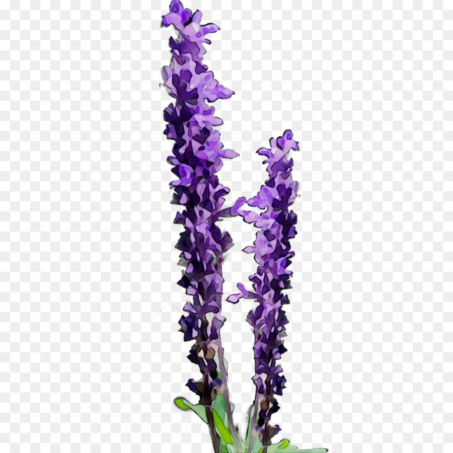 Flores Roxas，Lavanda PNG