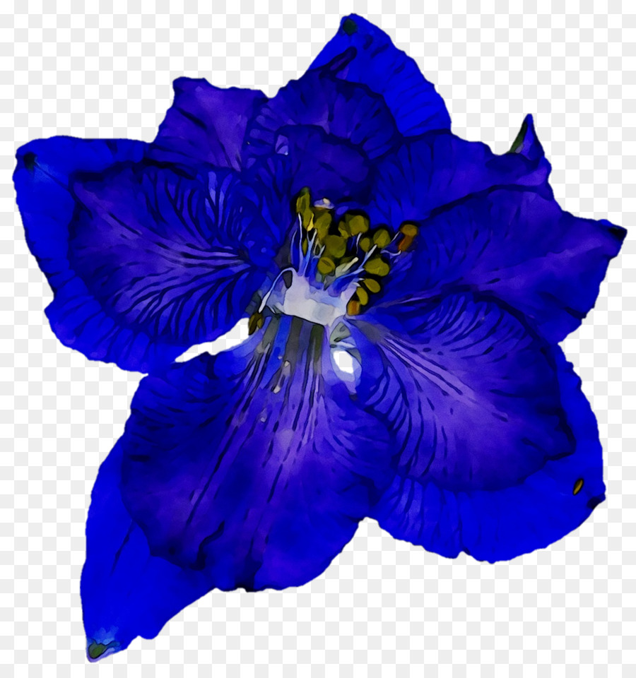 Flor Azul，Pétalas PNG