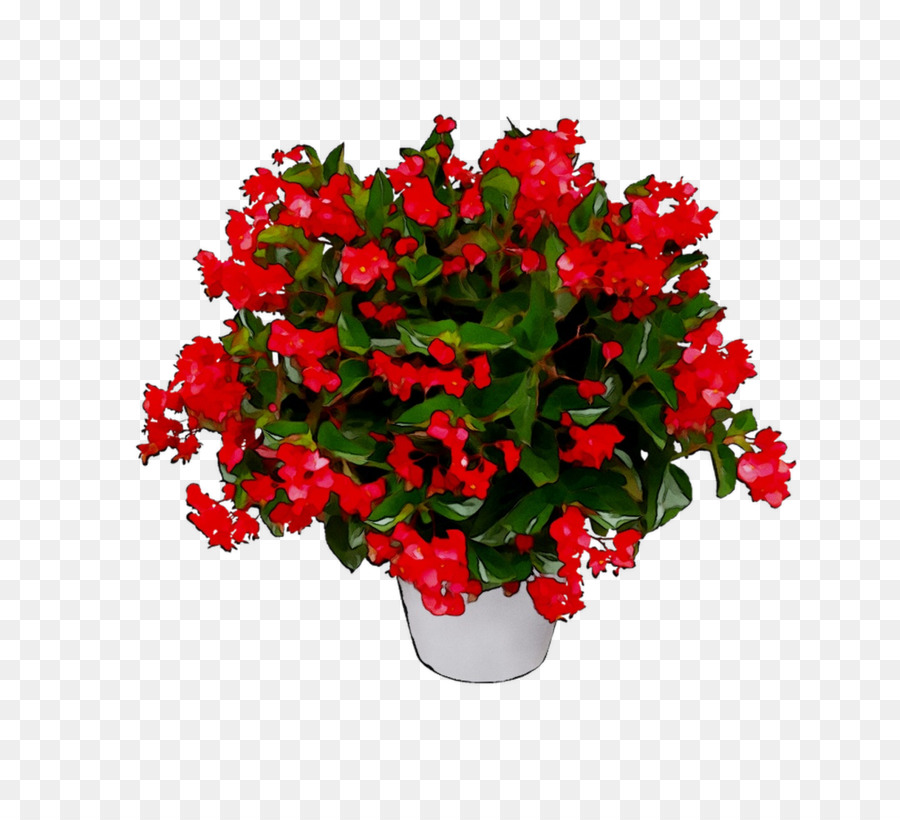 Flores Vermelhas，Pote PNG