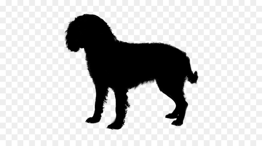 Raça Do Cão，American Water Spaniel PNG