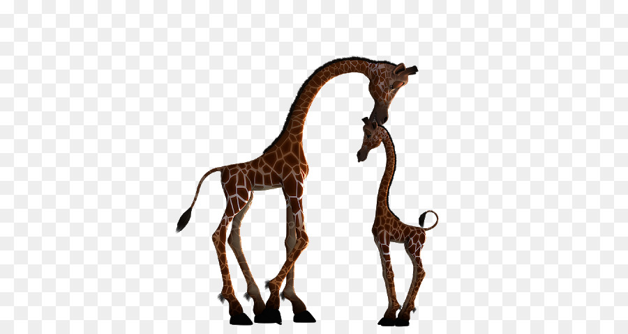 Girafas，Desenho Animado PNG