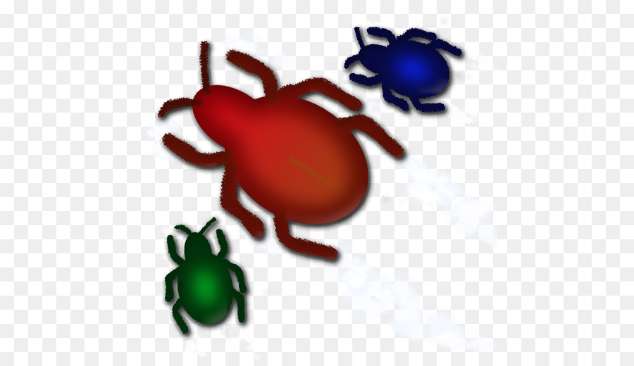 Inseto，Tick PNG