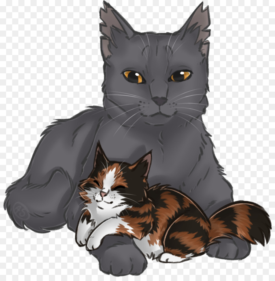 Maine Coon，Bigodes PNG