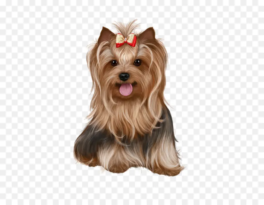 Cachorrinho Fofo Com Laço，Cachorro PNG