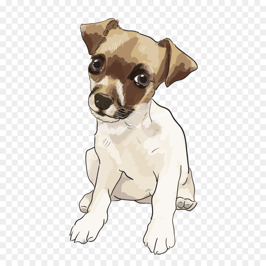 Raça Do Cão，Jack Russell Terrier PNG