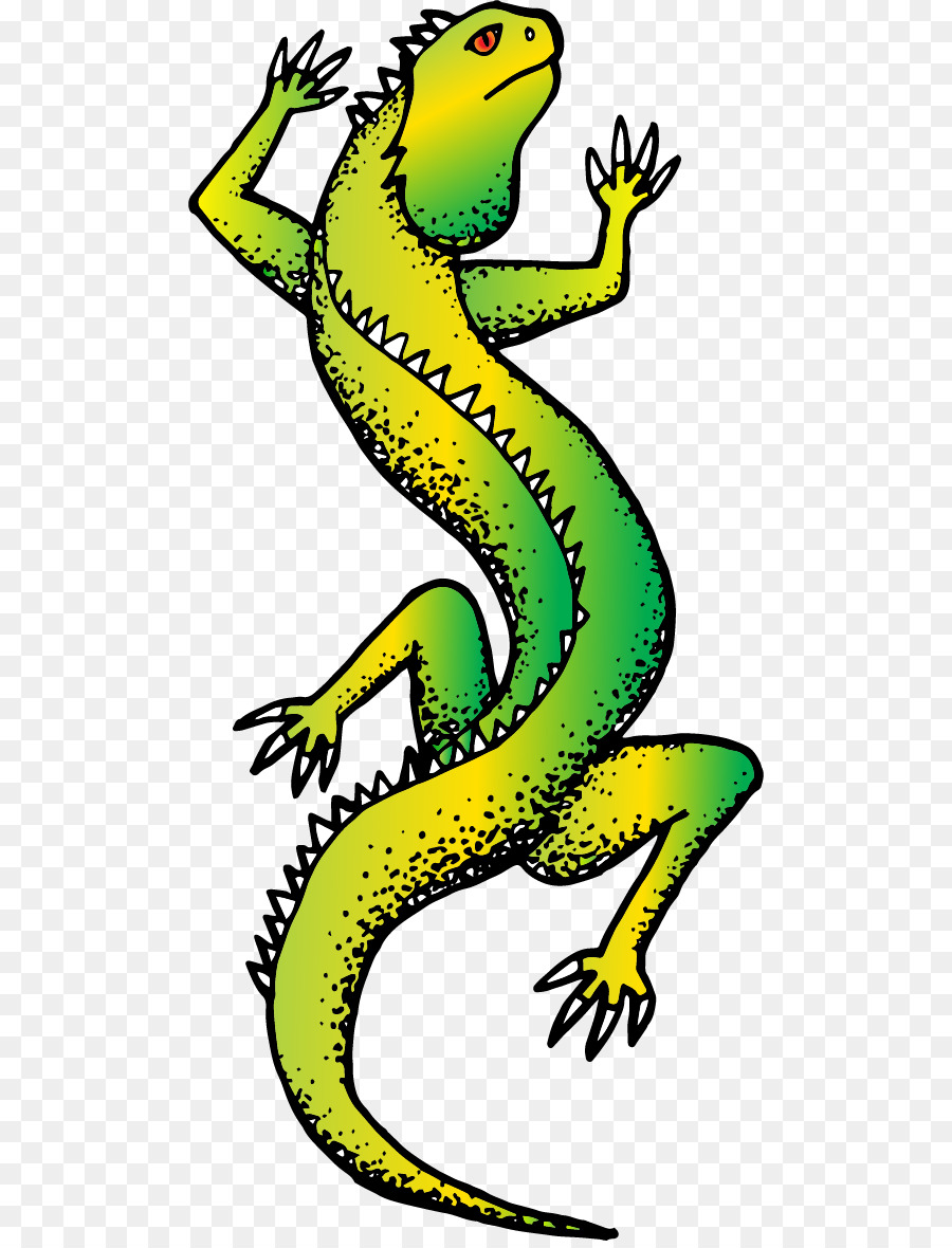 Lagarto Verde，Verde PNG