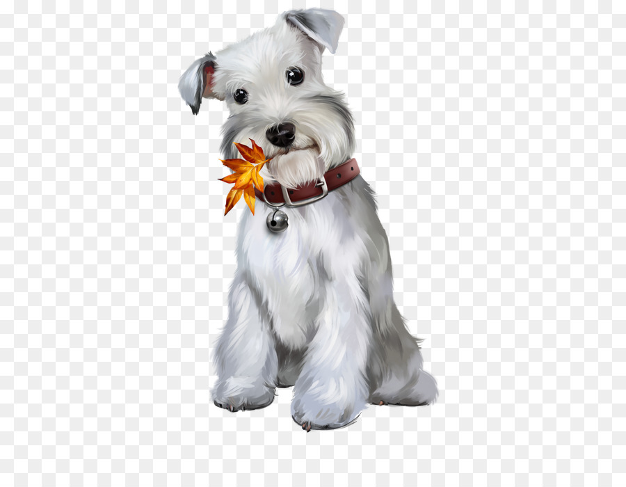 Schnauzer Miniatura，Schnauzer Standard PNG