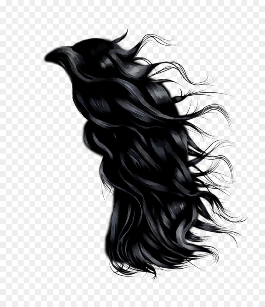 Cabelo Preto，Pé De Cabra PNG