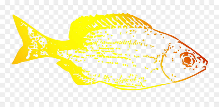 Desenho De Peixe，Esboço PNG